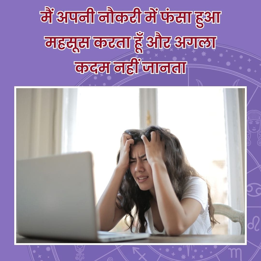 01-Career-Analysis (2) (1)